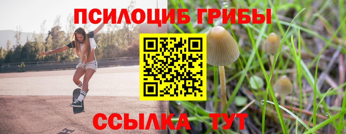 Саяногорск  Псилоцибиновые грибы Magic Shrooms  цены   Псилоцибиновые грибы Cubensis  Вход с VPN 